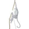 Миниатюра фото подвесной светильник inodesign monkey 42.9993 | 220svet.ru