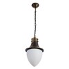 Миниатюра фото уличный подвесной светильник arte lamp vienna a1317so-1bn | 220svet.ru