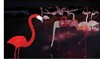 Миниатюра фото композиция светодиодная "фламинго" shg-41-1 | 220svet.ru