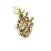 Миниатюра фото ваза love in bloom gold seletti | 220svet.ru