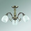 Миниатюра фото потолочная люстра lumion ninella 3092/3 | 220svet.ru