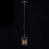 Миниатюра фото уличный подвесной светильник de markt телаур 806011001 | 220svet.ru