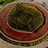 Миниатюра фото тарелка costa nova nap275-ter(nap275-01616g) | 220svet.ru