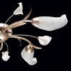 Миниатюра фото потолочная люстра mw-light восторг 19 242016205 | 220svet.ru