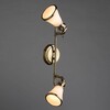 Миниатюра фото спот arte lamp 81 a9231ap-2ab | 220svet.ru