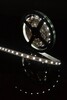 Миниатюра фото лента swg 14,4w/m  60led/m 5050smd холодный белый 5m swg560-12-14.4-uw-м 009263 | 220svet.ru