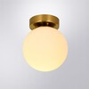 Миниатюра фото потолочный светильник arte lamp alcor a2224pl-1pb | 220svet.ru