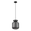 Миниатюра фото подвесной светильник odeon light jugi 5042/1b черный | 220svet.ru