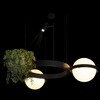 Миниатюра фото подвесной светодиодный светильник loft it jardin 10121/2 | 220svet.ru