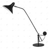 Миниатюра фото настольная лампа lightstar manti 764907 | 220svet.ru