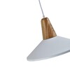Миниатюра фото подвесной светильник moderli luce v1570-1p | 220svet.ru