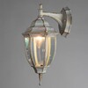 Миниатюра фото уличный настенный светильник arte lamp pegasus a3152al-1wg | 220svet.ru