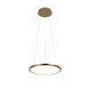 Миниатюра фото подвесной светодиодный светильник loft it ring 10014s | 220svet.ru