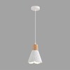 Миниатюра фото подвесной светильник lumion eoliana 8352/1b белый | 220svet.ru