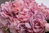 Миниатюра фото диффузор спрей charente rose 2*10ml garda decor 96cn-rb0040 | 220svet.ru