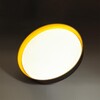 Миниатюра фото настенно-потолочный светильник sonex tuna yellow 7711/el белый | 220svet.ru