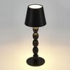 Миниатюра фото настольная лампа st luce ease sl1011.404.01 | 220svet.ru