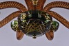 Миниатюра фото люстра bohemia ivele 1309/8/200 g am/amber-green/h-1j | 220svet.ru