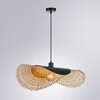 Миниатюра фото подвесной светильник arte lamp woodstock a7063sp-1bk | 220svet.ru