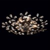 Миниатюра фото потолочная люстра mw-light адриатика 280011008 | 220svet.ru
