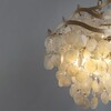 Миниатюра фото подвесная люстра arte lamp a4065sp-6sg | 220svet.ru