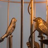 Миниатюра фото подвесная люстра arte lamp gabbia a1865sp-3bg | 220svet.ru