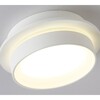 Миниатюра фото потолочный светильник ambrella light tn5383 | 220svet.ru