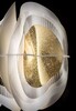 Миниатюра фото подвесной светильник fiordlys gold slamp frdsm00gld01t00roueu | 220svet.ru