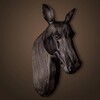 Миниатюра фото голова лошади roomers 4445 | 220svet.ru