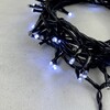 Миниатюра фото гирлянда нить 10м белая с мерцанием каждого диода 24в 100 led провод черный пвх ip54 ltc pst100abl-11-1w | 220svet.ru