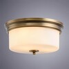 Миниатюра фото потолочный светильник arte lamp a1735pl-3sr | 220svet.ru