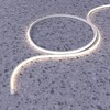 Миниатюра фото светодиодный гибкий неон maytoni led strip 12w/m 144led/m теплый белый 5 м 20082 | 220svet.ru