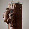 Миниатюра фото перчатки для бокса restoration hardware t-spo-od-0019-z | 220svet.ru