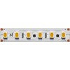 Миниатюра фото светодиодная лента 8,5w 24v 2700к maytoni led strip ic 201120 | 220svet.ru