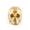 Миниатюра фото статуэтка череп my skull gold seletti | 220svet.ru