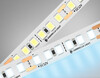 Миниатюра фото светодиодная лента 14.4w m/12v  6500k 5m ambrella light led strip 12v gs1313 | 220svet.ru