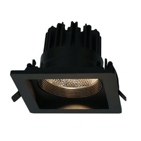фото Встраиваемый светодиодный светильник Arte Lamp Privato A7007PL-1BK 220svet