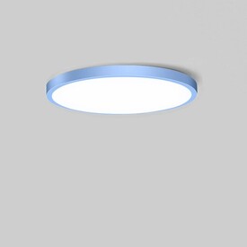 фото Потолочный светодиодный светильник с пультом Lightday TH7544/1BL 220svet