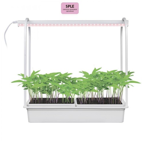 фото светодиодный светильник для растений uniel minigarden ult-p54-10w/sple ip20 white ul-00007145 | 220svet.ru