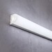Миниатюра фото светодиодный термостойкий гибкий неон maytoni 14,4w/m 180led/m холодный белый 5 м 20095 | 220svet.ru