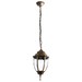 Миниатюра фото уличный подвесной светильник arte lamp pegasus a3151so-1bn | 220svet.ru