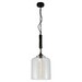 Миниатюра фото подвесной светильник lussole loft lsp-9668 | 220svet.ru