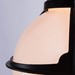 Миниатюра фото уличный подвесной светильник arte lamp monaco a1495so-1bk | 220svet.ru