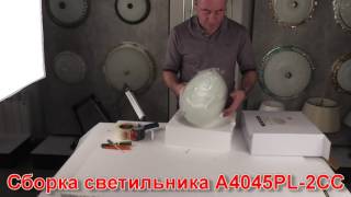 Миниатюра фото потолочный светильник arte lamp a4045pl-2cc | 220svet.ru
