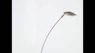 Миниатюра фото настольная лампа mw-light гэлэкси 632032801 | 220svet.ru